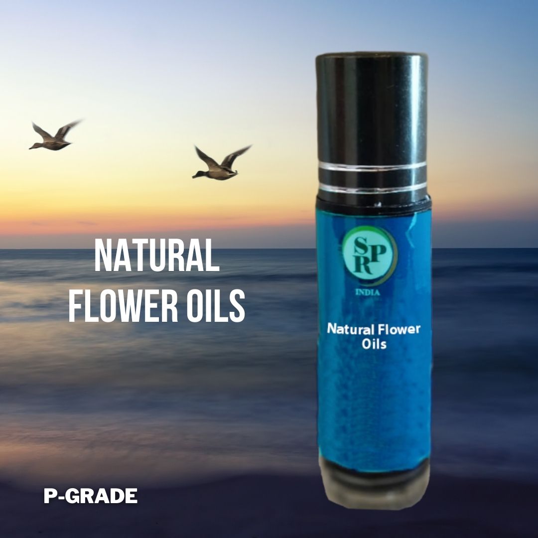 Camphor perfume oil 10ml – SPR Naturals